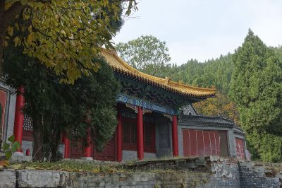 淌豆寺2