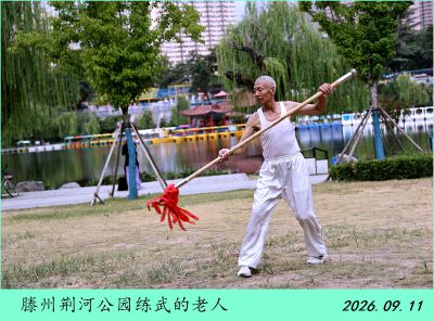 公园随拍——5