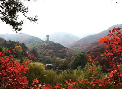 风景如画