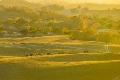 牧归