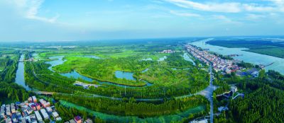《运河湿地 百里画廊》