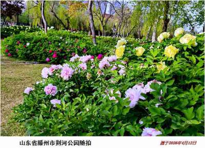 逛公园——11