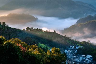 美丽早晨