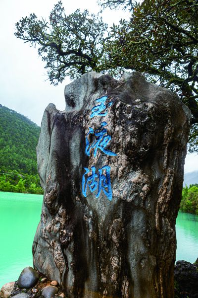 《游》