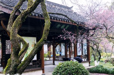 赞梅轩