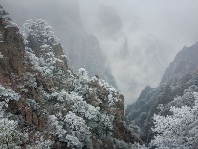 黄山雾凇