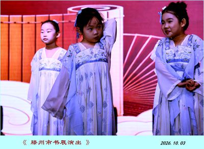 书展演出纪实——14