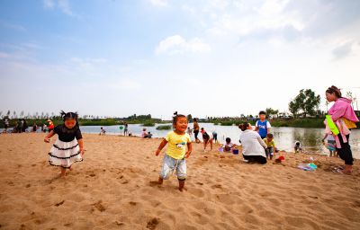 《夏日撒欢》