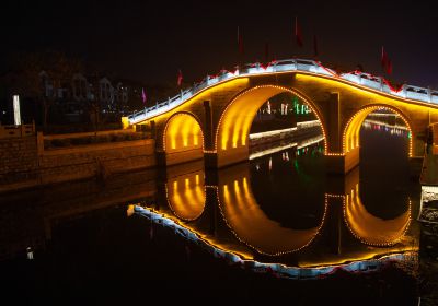 《夜桥映月》