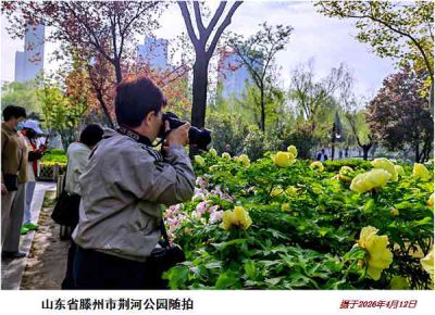 逛公园——32