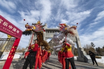 新年快乐