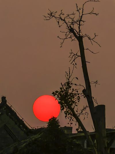 檐间夕阳生暖意