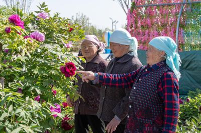 走过花季