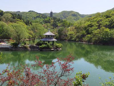 红叶谷风光