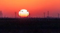 [原创]瑰丽夕阳黄河口