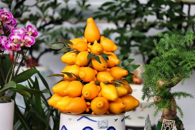黄金果