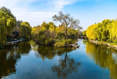 《大明湖》