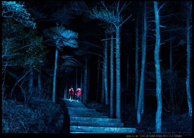 夜行深山