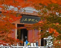 人间净土