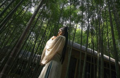 【古风摄影】竹影幽情