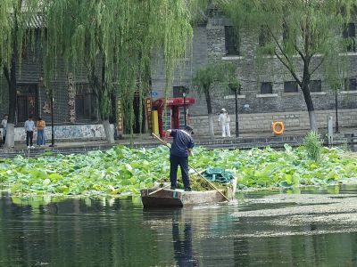 镜观消费·出片百花洲3