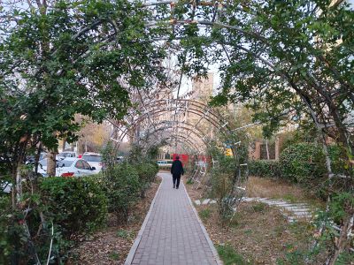 市民公园的早晨2