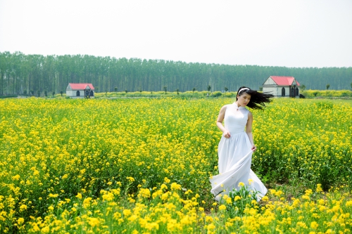 《花海》