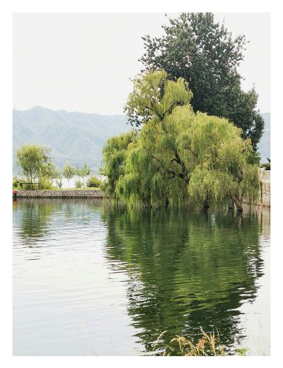 半湖烟柳浸清波