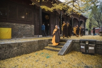 灵岩寺禅韵