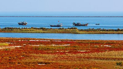 海滩秋韵