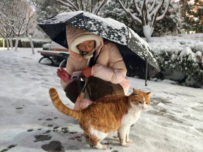依偎