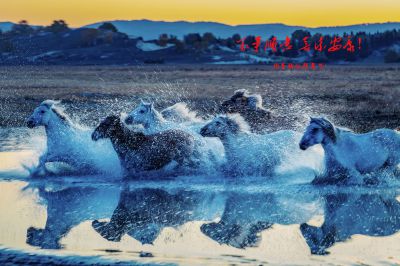 祝东方摄影的老师们 新年顺遂 喜乐安康！