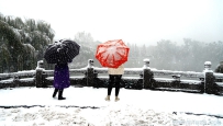 济南第一场雪——明湖掠影