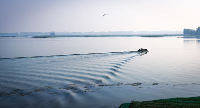 湖上渔舟