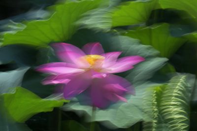 风荷