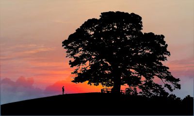 夕阳西下