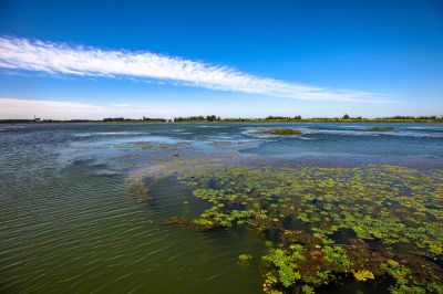 《大湖风光》