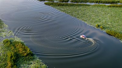 《湿地蛟龙》