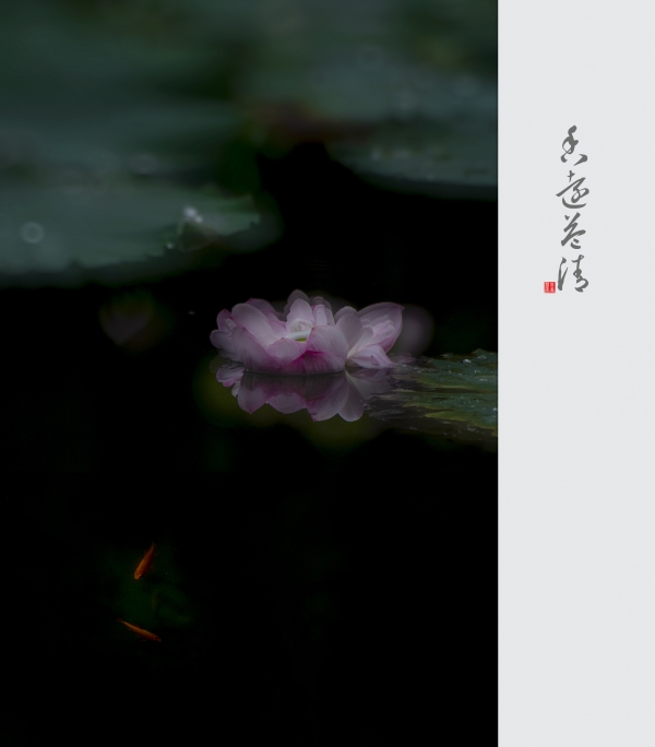 【香远益清】