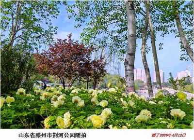 逛公园——39