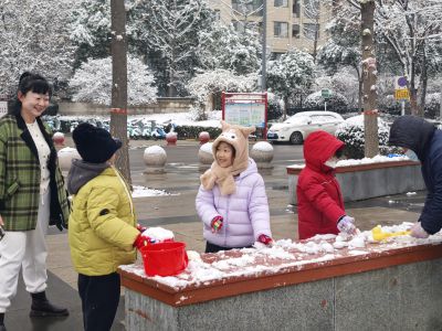 雪后嬉戏