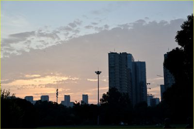 晨33