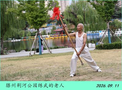 公园随拍——6