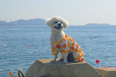 笑一笑