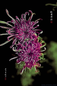 趵突泉秋色