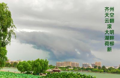 齐洲天空云翻滚，大明湖畔荷柳新
