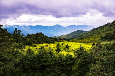 神农架小景