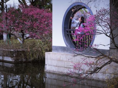 庭院花开