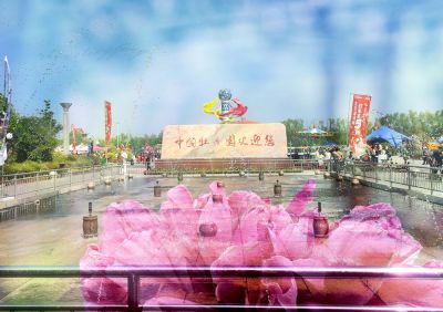 中国牡丹园