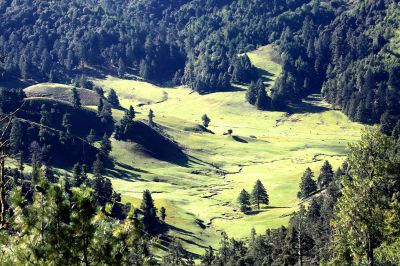 高山草甸风光